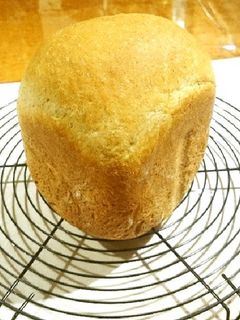 全粒粉入「ココナッツオイルミルク食パン」-レシピのメイン写真