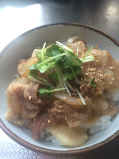 簡単★新玉ねぎで豚バラ丼♩お弁当にも-レシピのメイン写真