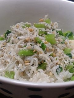大根の葉としらすの油炒め-レシピのメイン写真