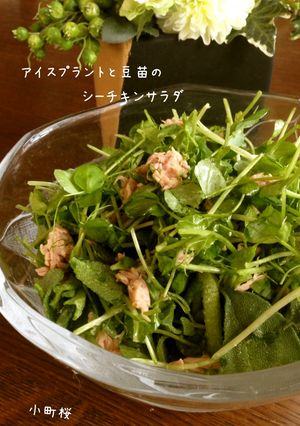 アイスプラントと豆苗のシーチキンサラダ-レシピのメイン写真