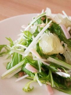 塩ダレで簡単!水菜のマリネ風サラダ-レシピのメイン写真