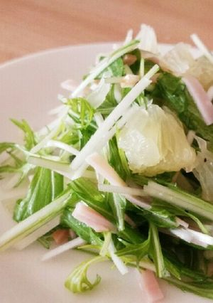 塩ダレで簡単！水菜のマリネ風サラダ-レシピのメイン写真