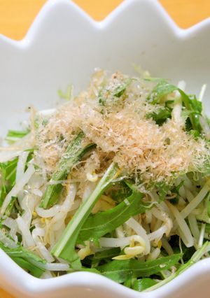 もやしと水菜の梅昆布サラダ-レシピのメイン写真