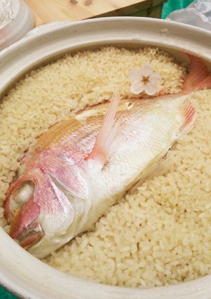 おもてなしにも♪土鍋で炊く鯛飯-レシピのメイン写真