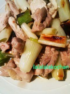 鶏肉と白ネギの柚子こしょう炒め-レシピのメイン写真