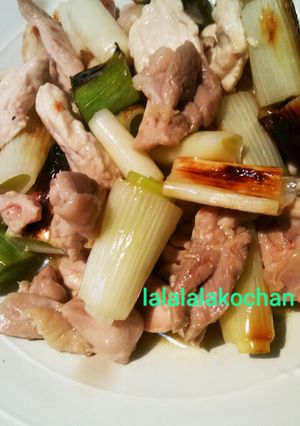 鶏肉と白ネギの柚子こしょう炒め-レシピのメイン写真