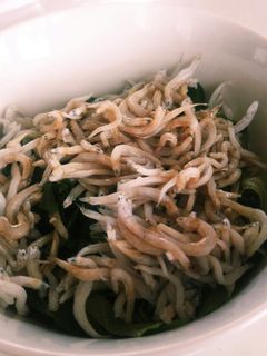 乗せるだけ!!しらす丼-レシピのメイン写真