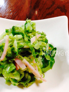 簡単 春キャベツ ザワークラウト-レシピのメイン写真