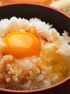 絶対うまい卵かけご飯-レシピのメイン写真