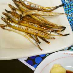 รูปของ かますご（いかなご）焼き☆生姜醤油