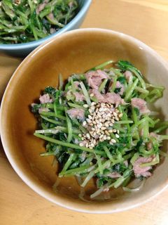 豆苗とツナの和え物♪-レシピのメイン写真