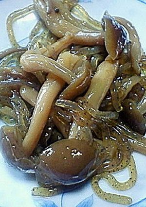 しめじとコンニャクの佃煮-レシピのメイン写真