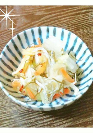 ☆冷凍庫de白菜漬☆-レシピのメイン写真