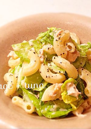キャベツとマカロニのツナソースサラダ♪-レシピのメイン写真