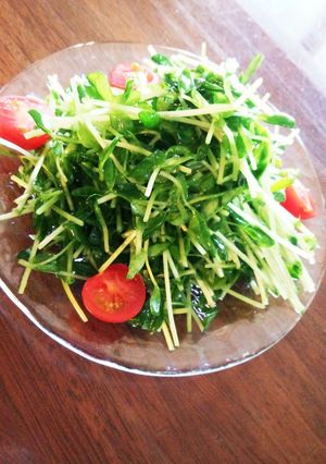 豆苗のナムル-レシピのメイン写真