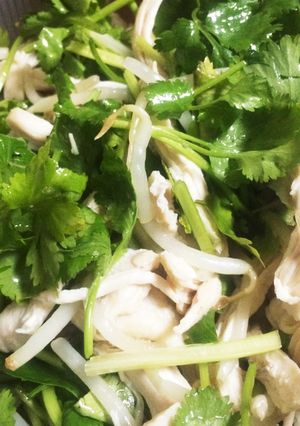 鶏胸肉のパクチーサラダ-レシピのメイン写真