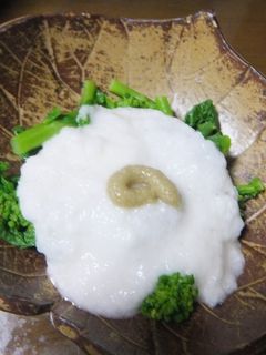 菜の花 とろろかけ-レシピのメイン写真