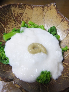 菜の花　とろろかけ-レシピのメイン写真