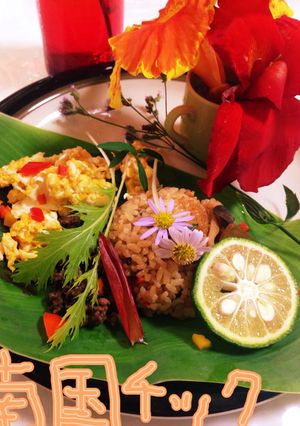 南国風☆あるものでランチ*家の庭草花添え-レシピのメイン写真