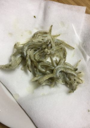 釜揚げ新子のてんぷら-レシピのメイン写真