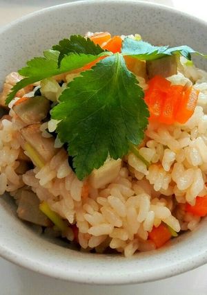 新ごぼうたっぷり炊き込みご飯-レシピのメイン写真