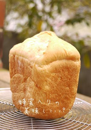 HBで簡単♡蜂蜜入りのしっとりパン♬-レシピのメイン写真