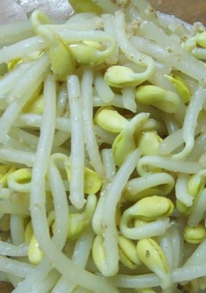 もやしナムル-レシピのメイン写真