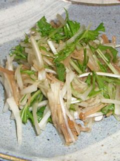 なめたけ+大根+水菜のサラダ-レシピのメイン写真