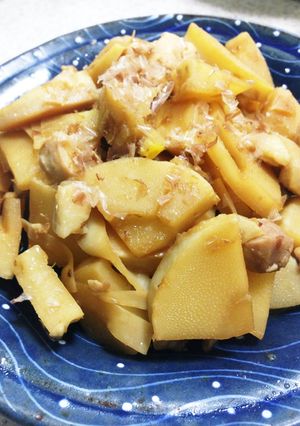水煮竹の子の煮物-レシピのメイン写真