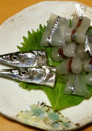 サヨリの刺身-レシピのメイン写真
