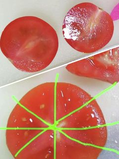 ミニトマト種が出ない切り方*トマト切り方-レシピのメイン写真