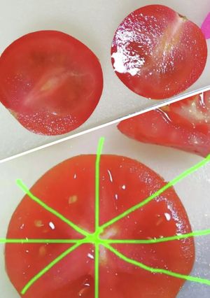 ミニトマト種が出ない切り方＊トマト切り方-レシピのメイン写真