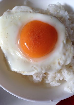 黄身が白くならない目玉焼き-レシピのメイン写真