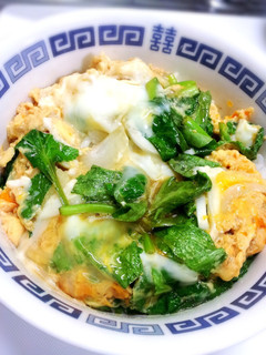 簡単だけど美味しい玉子丼!-レシピのメイン写真