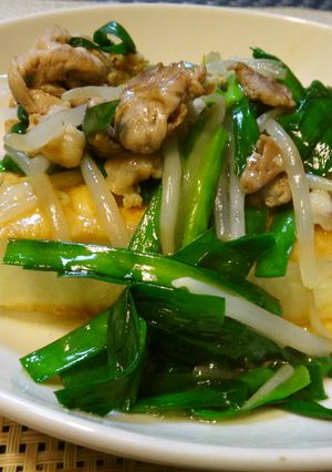 厚揚げの豚肉野菜炒め-レシピのメイン写真