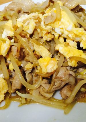 どこか懐かしい味〜豚肉ともやしの炒め物-レシピのメイン写真