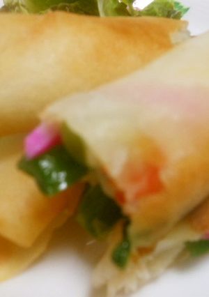 春巻き　カニカマとニラと蒲鉾-レシピのメイン写真