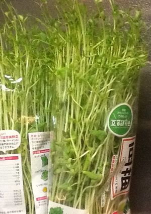 お得な豆苗♡-レシピのメイン写真