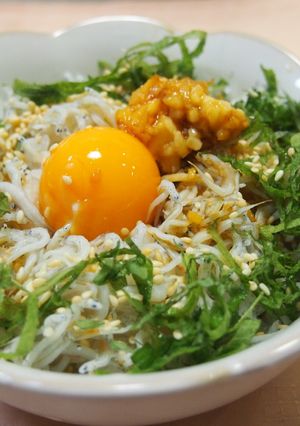 しょうが醤油でしらす丼♡冷凍たまごのせ-レシピのメイン写真