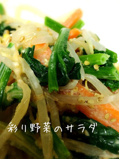 ほうれん草とにんじんともやしのサラダ-レシピのメイン写真