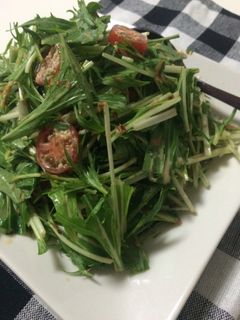 水菜のはりはりサラダ-レシピのメイン写真