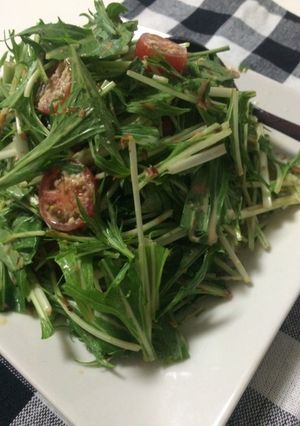 水菜のはりはりサラダ-レシピのメイン写真