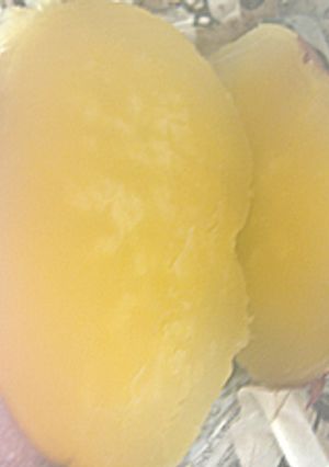 芋羊羹な焼き芋♪-レシピのメイン写真