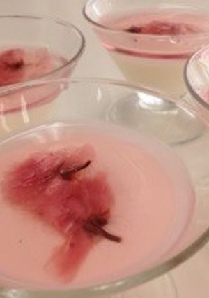 桜の香りプリン-レシピのメイン写真