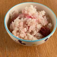 รูปของ 梅干しごはん（赤と白）