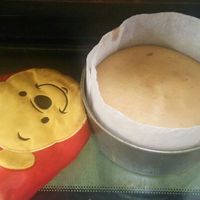5号ケーキに乗せた場合 賞味5/25】クリスマスショートケーキ5号(土台のみ)|有機野菜