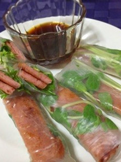 豆苗とスパムの生春巻き-レシピのメイン写真