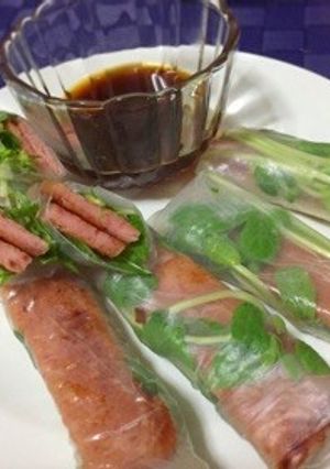 豆苗とスパムの生春巻き-レシピのメイン写真