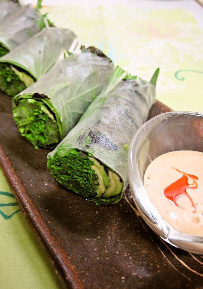 水菜とアボカドと韓国のりの生春巻き-レシピのメイン写真