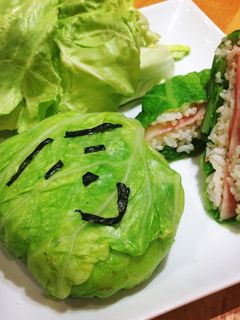 【おにぎらず】春キャベツでおにぎらず-レシピのメイン写真